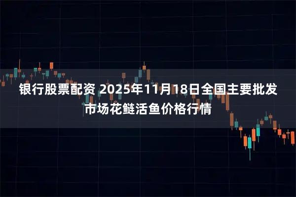 银行股票配资 2025年11月18日全国主要批发市场花鲢活鱼价格行情