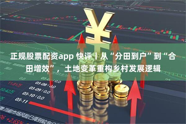 正规股票配资app 快评丨从“分田到户”到“合田增效”，土地变革重构乡村发展逻辑